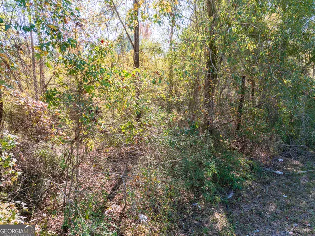 a close up of a tree