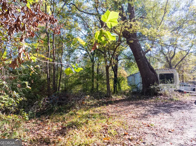 a view of a tree in the middle of a yard
