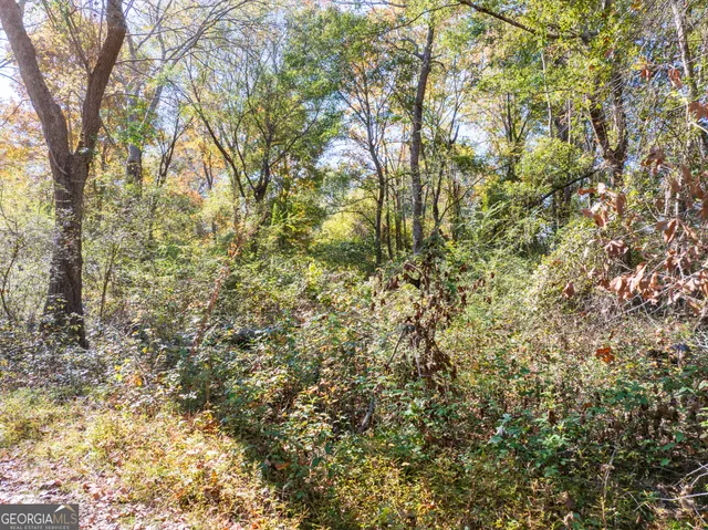a view of a yard with a tree