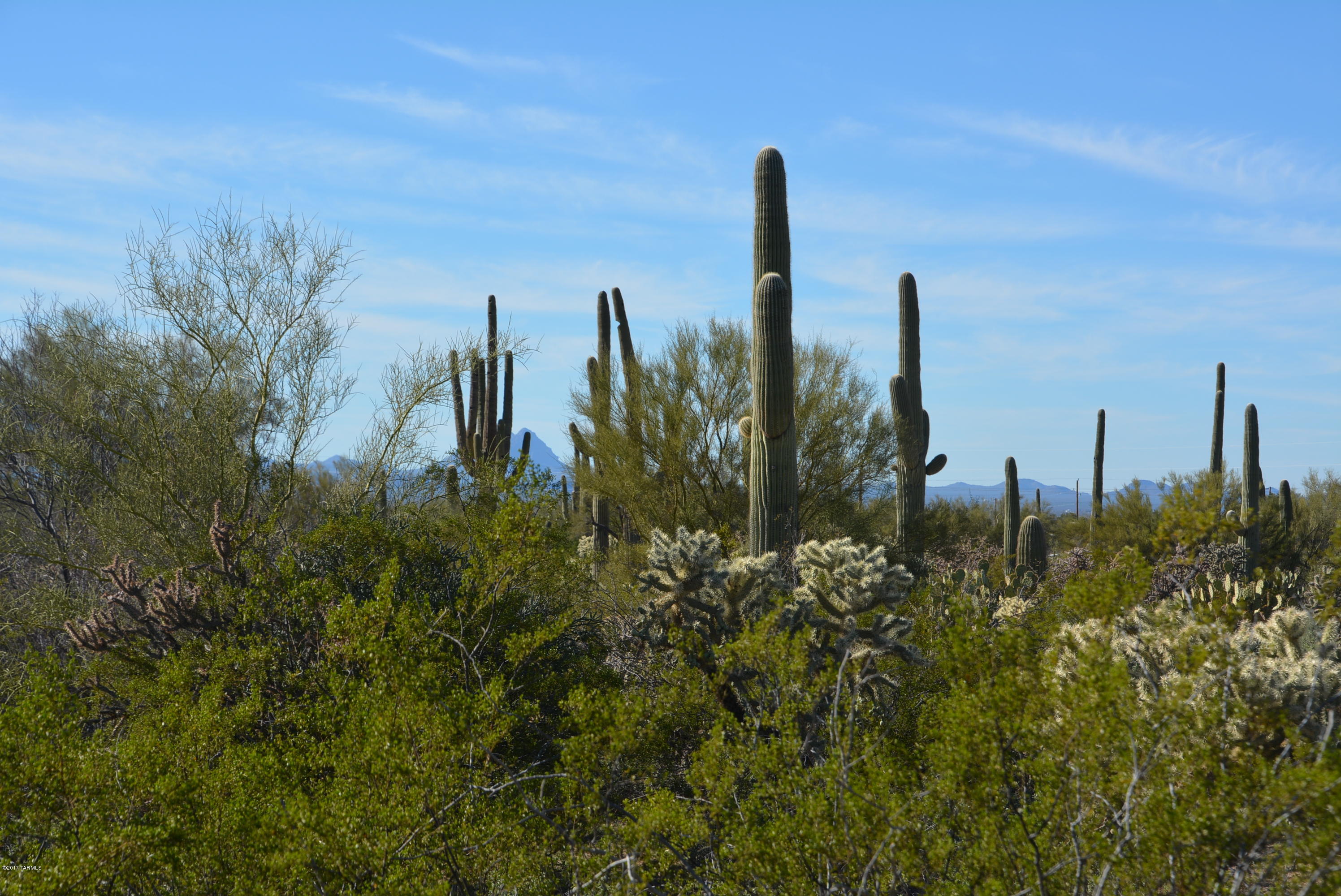 11700 West Rudasill Road, Unit LOT 5 Tucson, AZ 85743 - Photo 26 of 33 Gallery Image 26