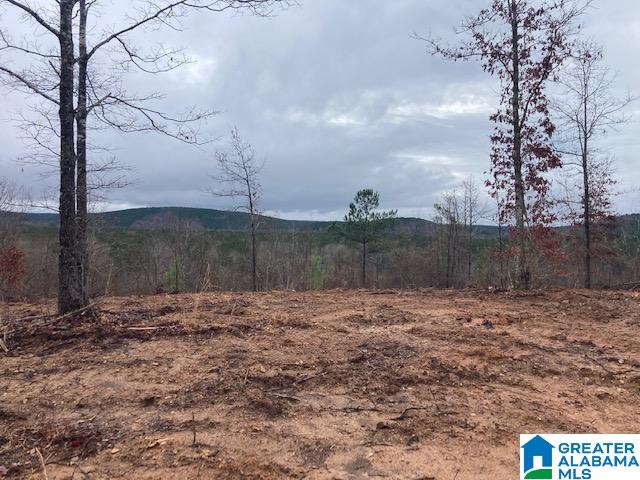 6001 Bluff Valley Road, Unit 30 AC Ashland, AL 36251 - Photo 3 of 8