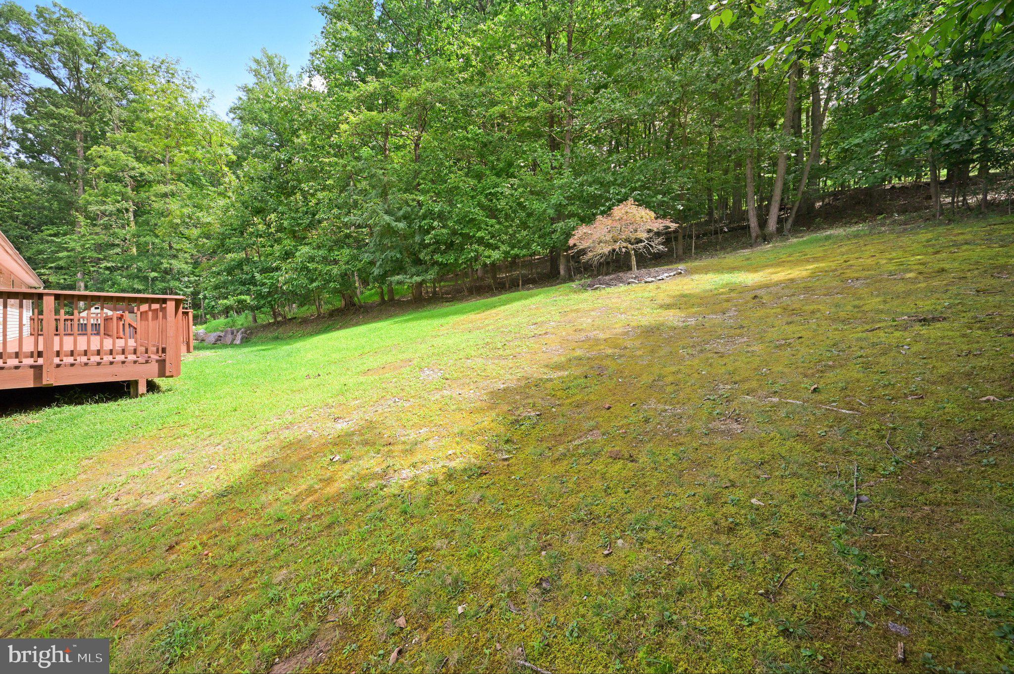 202 Spring Road Front Royal, VA 22630 - Photo 66 of 81 Backyard