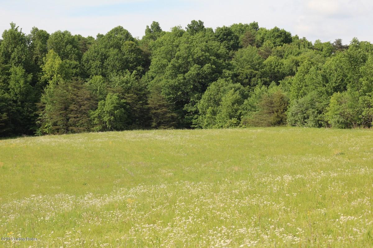 1000 Ready Jackson Road Caneyville, KY 42721 - Photo 26 of 31 Mudd Farms24