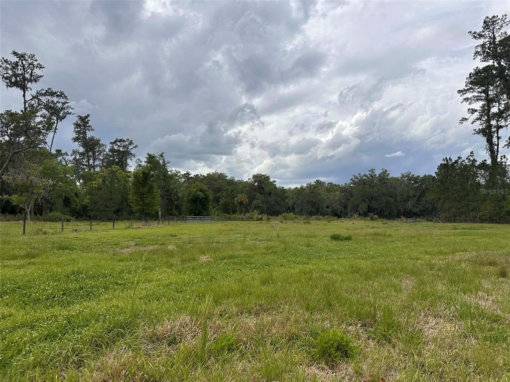 6800 Northeast 175th Street Road Citra, FL 32113 - Photo 13 of 24