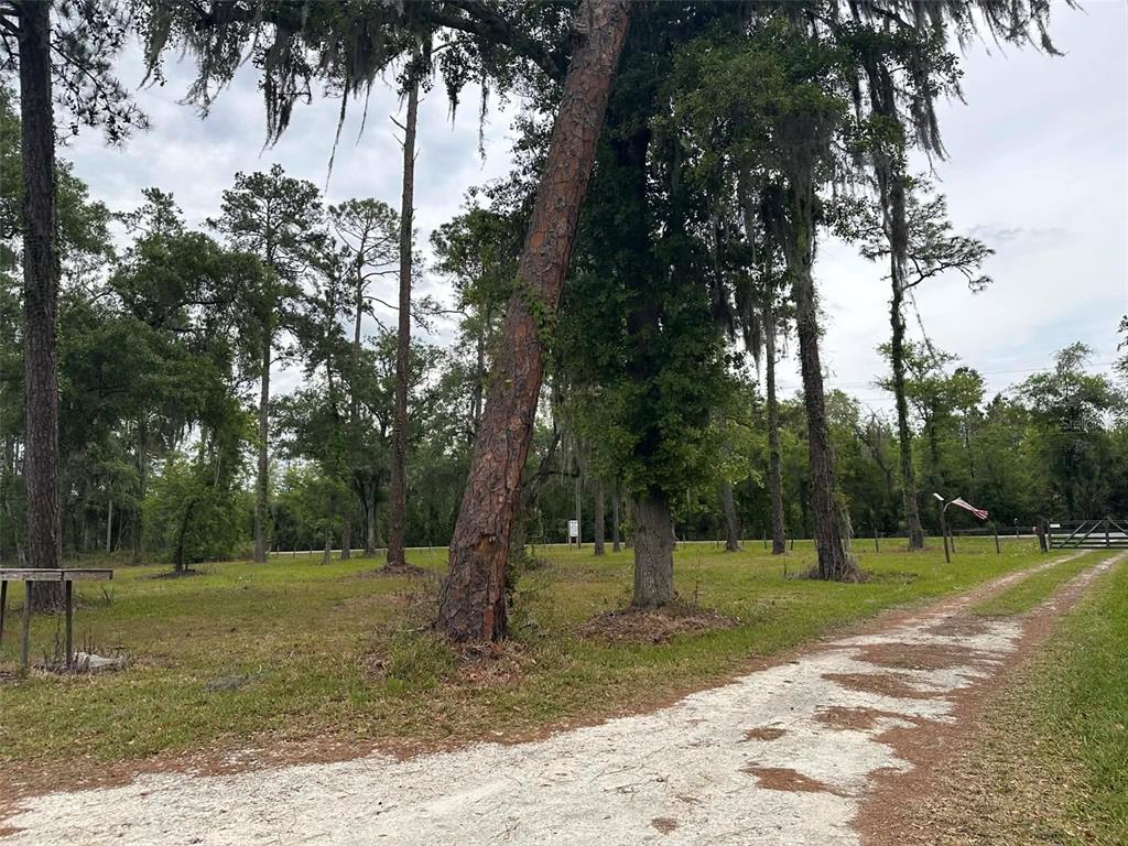 6800 Northeast 175th Street Road Citra, FL 32113 - Photo 2 of 24