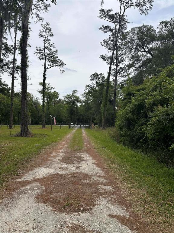 6800 Northeast 175th Street Road Citra, FL 32113 - Photo 4 of 24