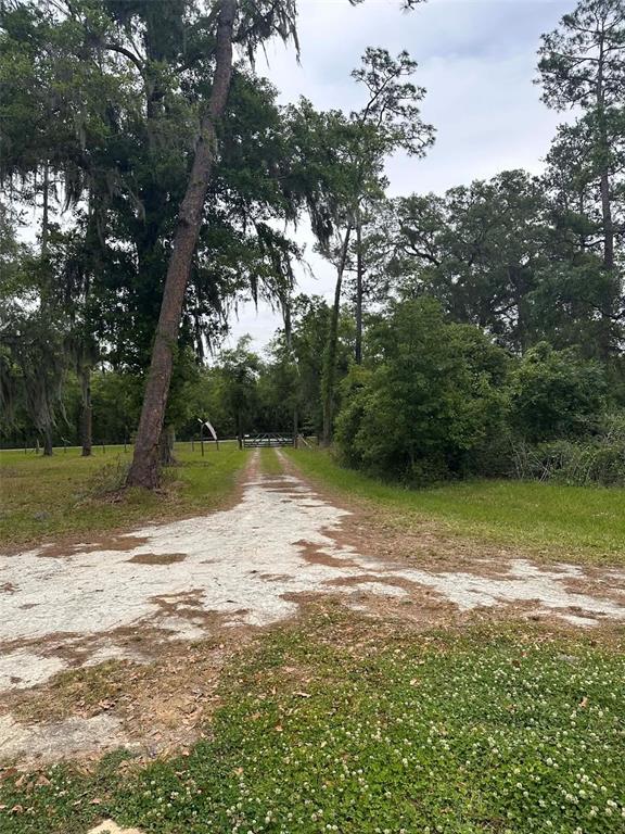 6800 Northeast 175th Street Road Citra, FL 32113 - Photo 5 of 24