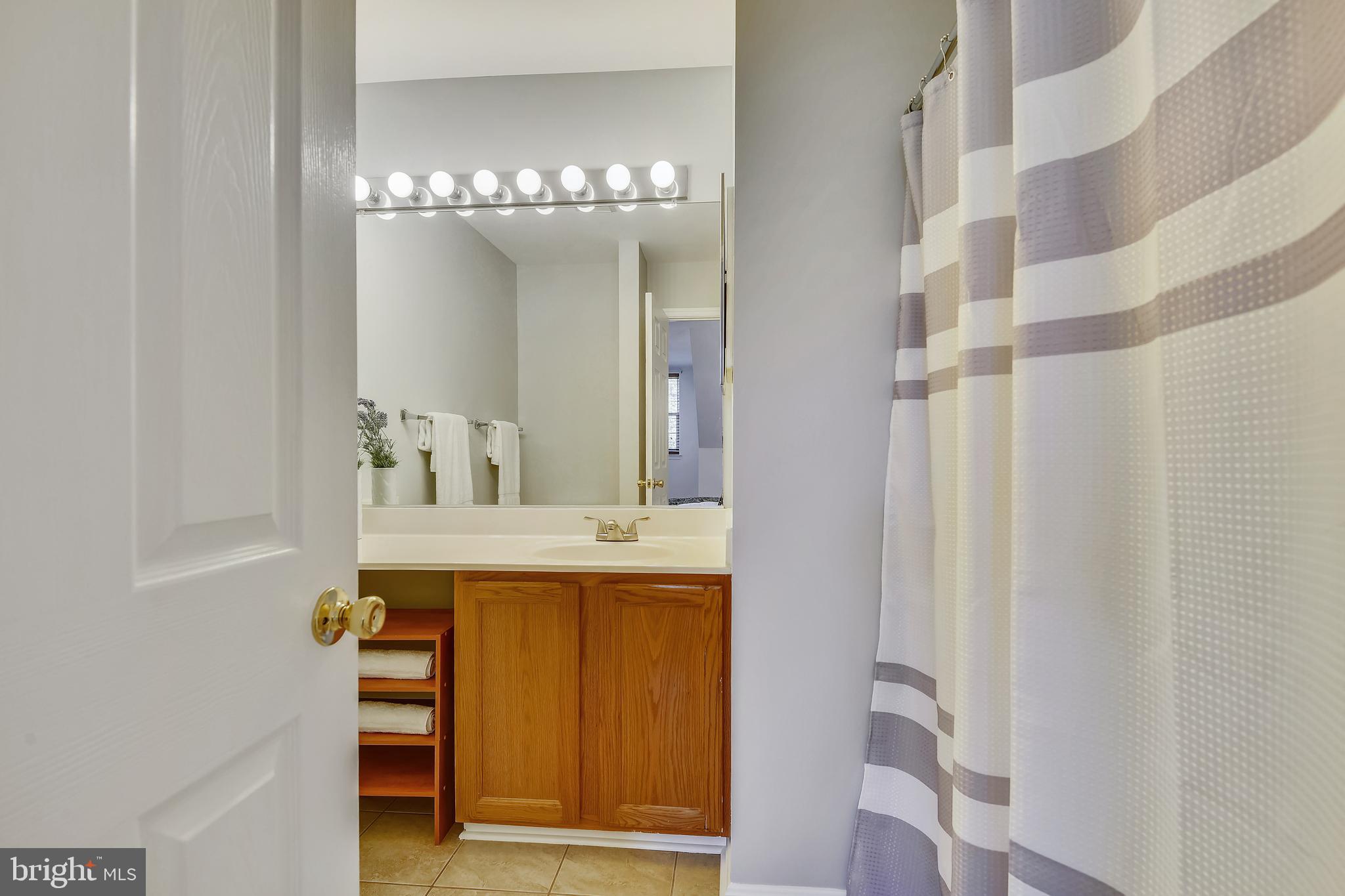 8719 Spring Brook Way Odenton, MD 21113 - Photo 31 of 60 ensuite bathroom