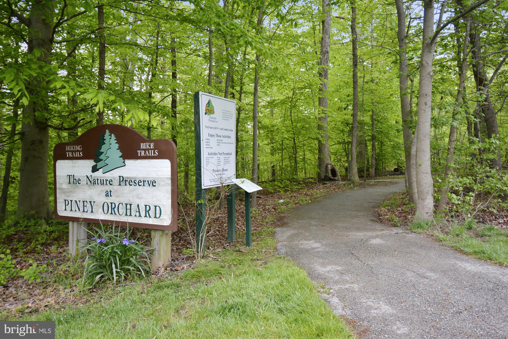 8719 Spring Brook Way Odenton, MD 21113 - Photo 49 of 60 community - nature preserve