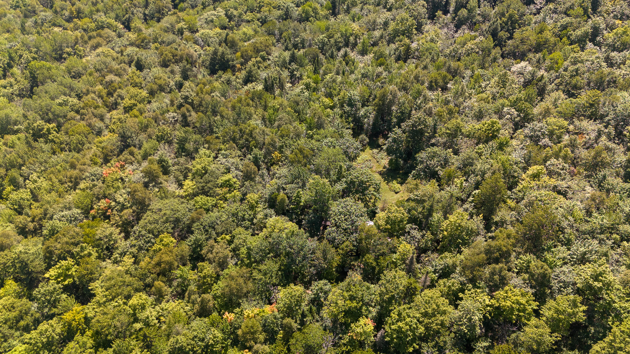 507 Mountain Road Abbot, ME 04406 - Photo 32 of 96 DJI_20240827115412_0659_D