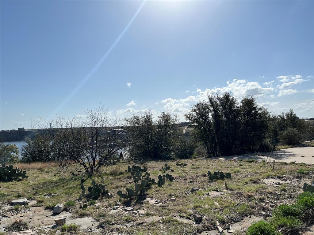 105 Hells Gate Point Strawn, TX 76475 - Photo 12 of 14 Water View of Cove 1