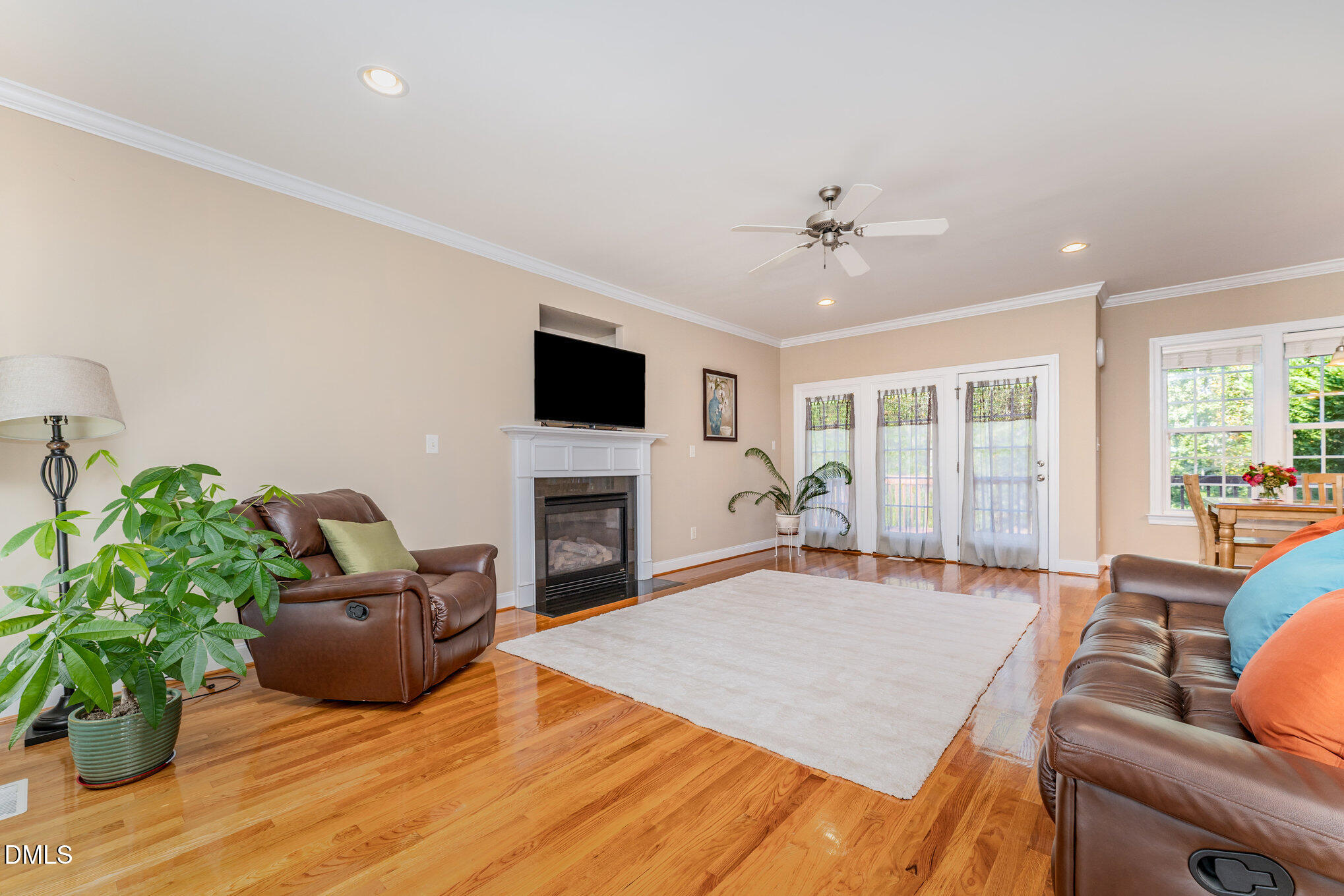 272 Travel Lite Drive Raleigh, NC 27603 - Photo 5 of 30 a living room with furniture a fireplace and a potted plant