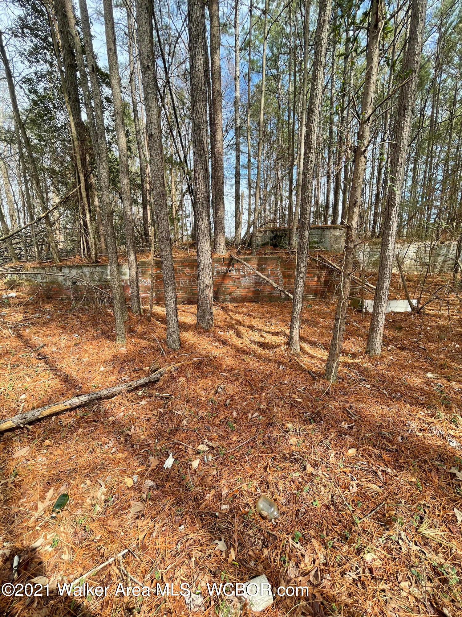 3396 Woodruff Road Adamsville, AL 35005 - Photo 14 of 17 Gallery Image 14