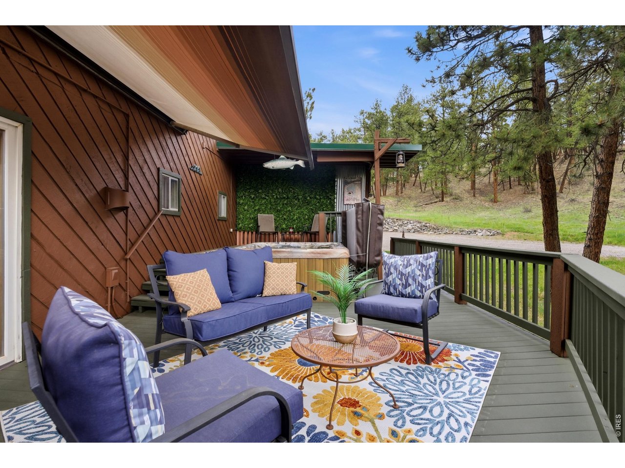 102 Insmont Drive Bailey, CO 80421 - Photo 14 of 43 Lower deck