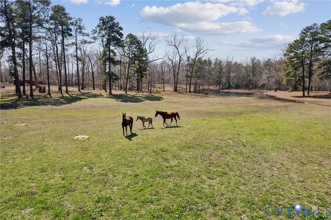 4411 Courthouse Road Prince George, VA 23875 - Photo 37 of 38 a swimming pool with outdoor seating and yard