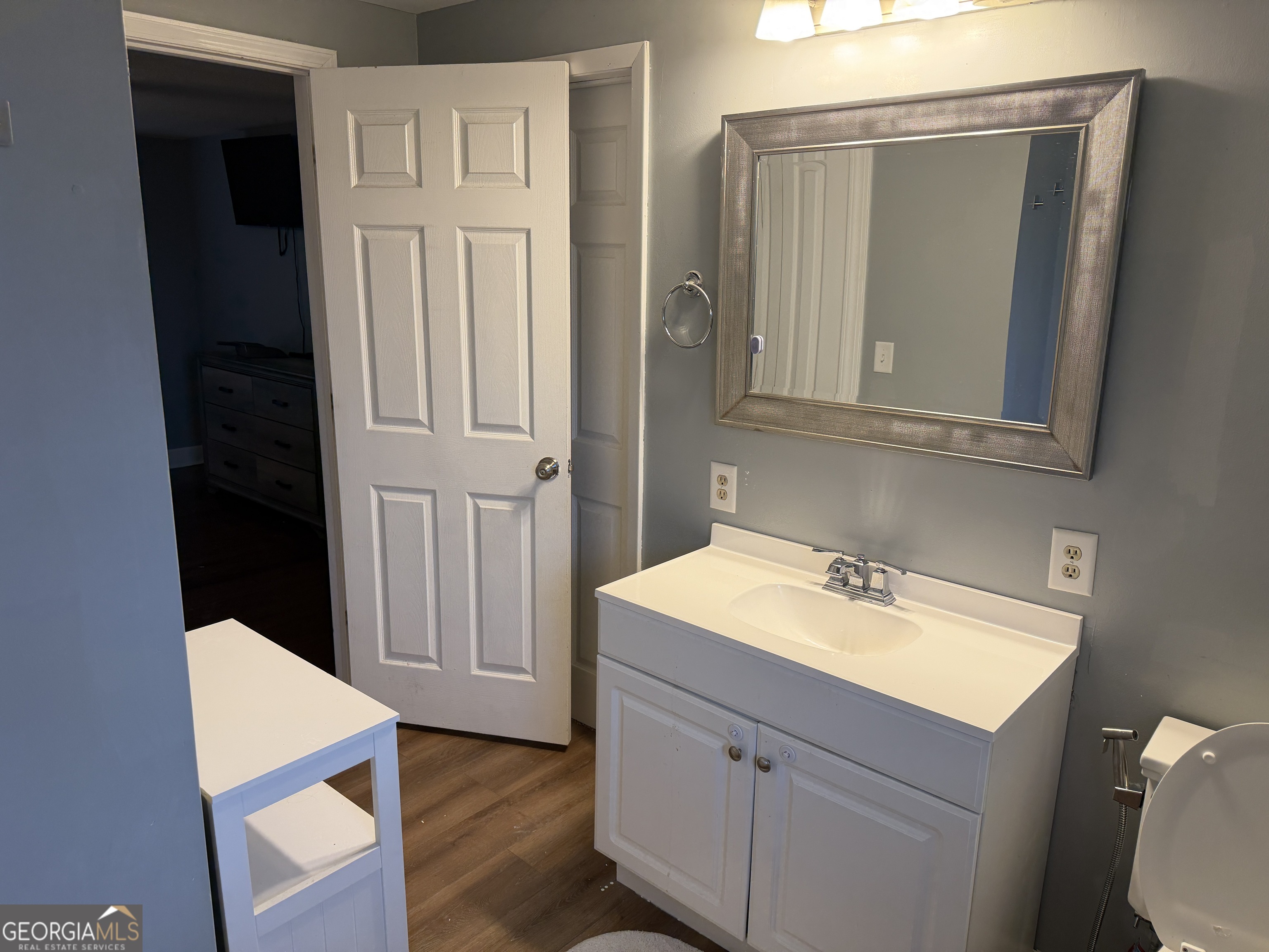 141 Evergreen Church Road Cobbtown, GA 30420 - Photo 13 of 29 a bathroom with a sink a toilet and a mirror