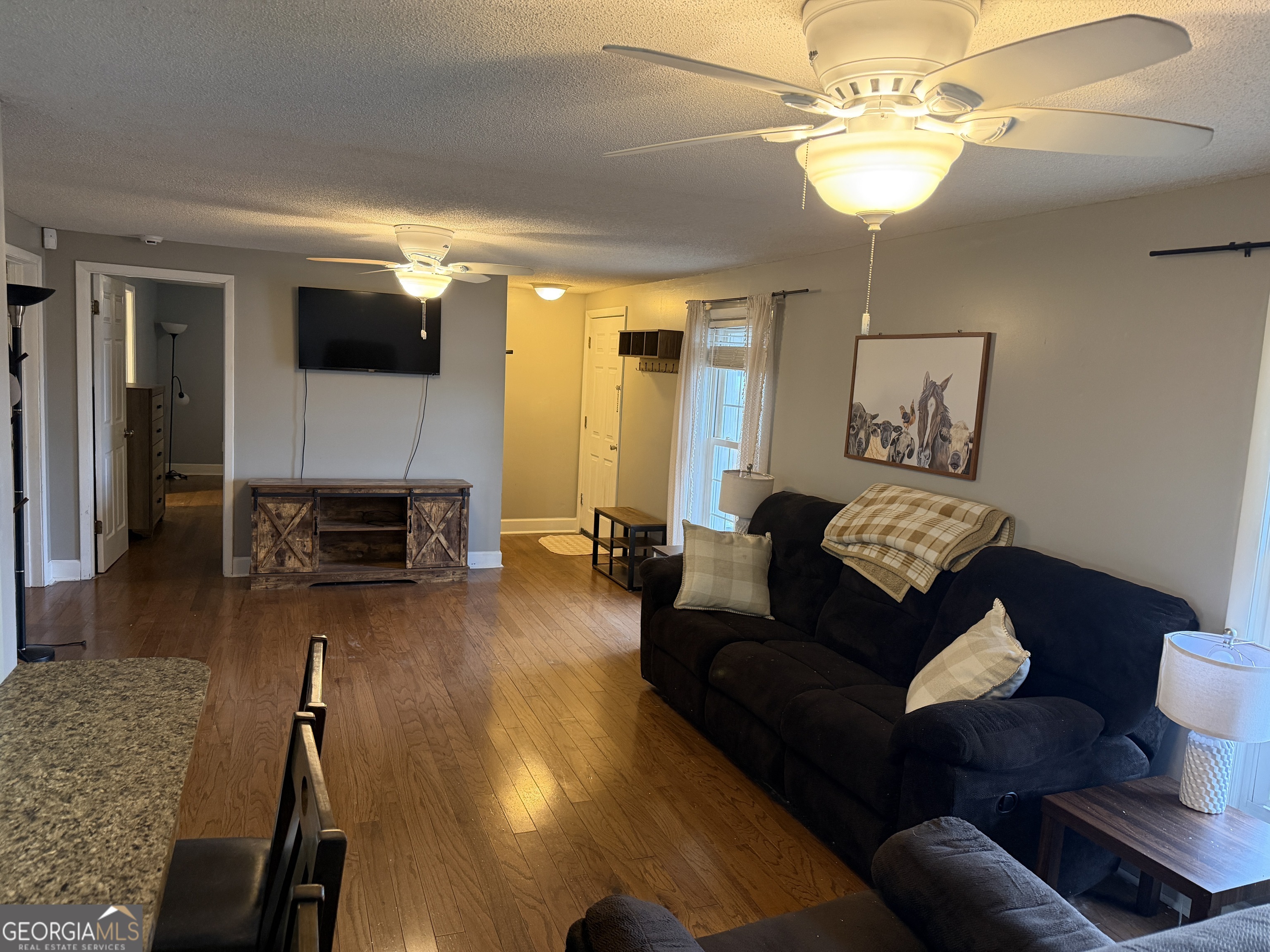141 Evergreen Church Road Cobbtown, GA 30420 - Photo 4 of 29 a living room with furniture or chandelier and a wooden floor