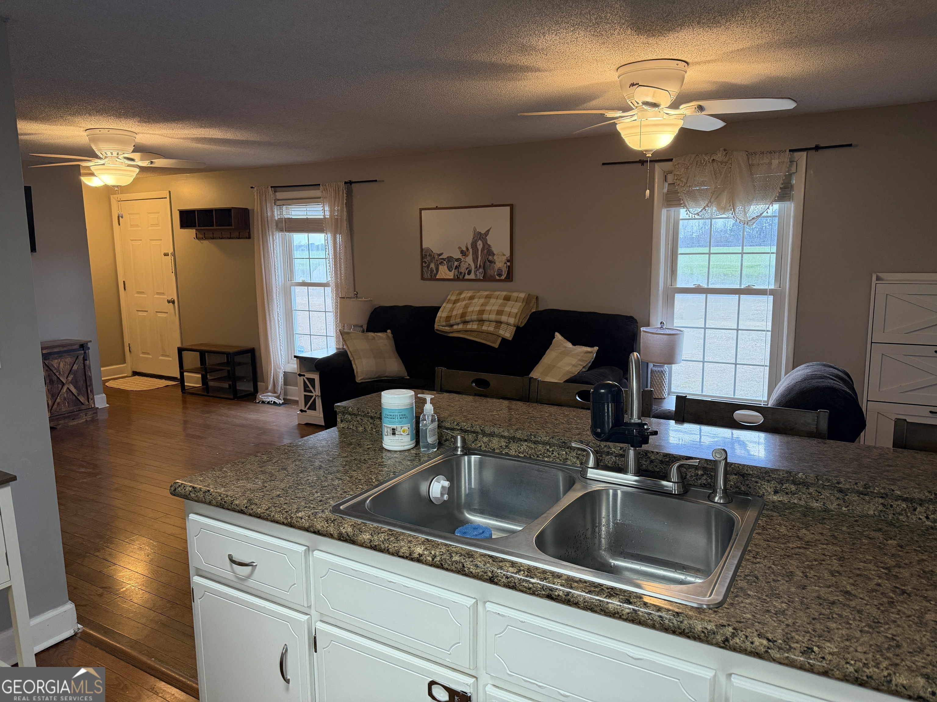 141 Evergreen Church Road Cobbtown, GA 30420 - Photo 8 of 29 a kitchen with granite countertop a sink a stove and cabinets