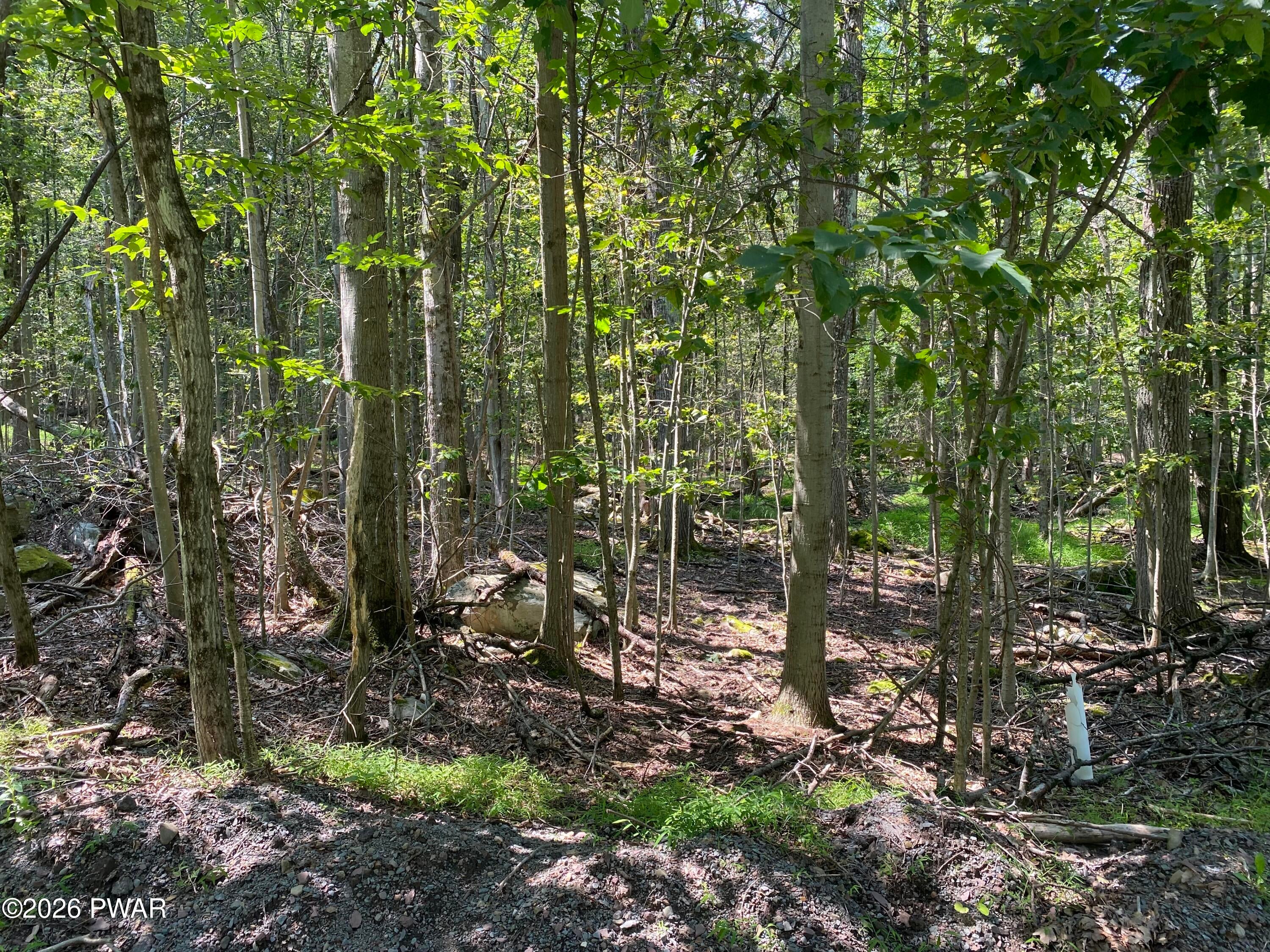 406 Windsor Road Hawley, PA 18428 - Photo 13 of 16 Gallery Image 13