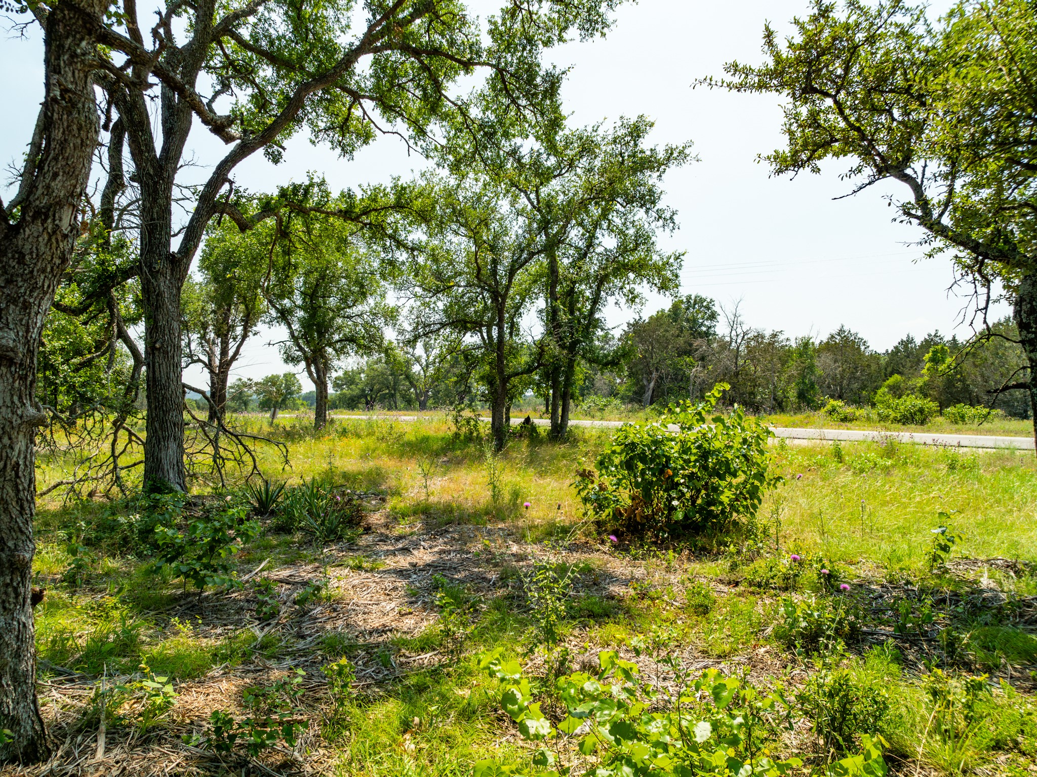 Tbd Tbd Pitchfork Ranch Road Copperas Cove, TX 76522 - Photo 11 of 35 a view of lake with green space