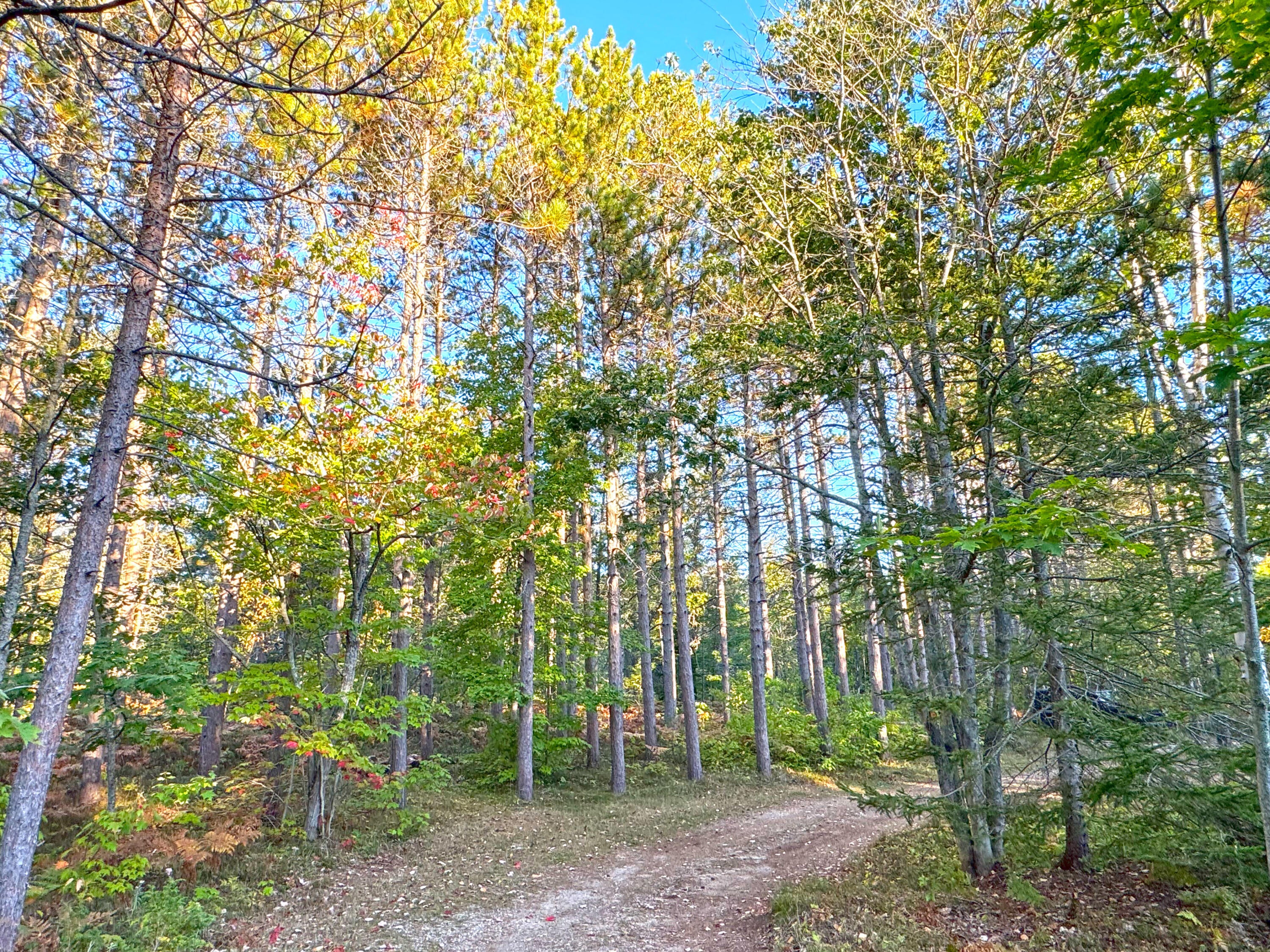 15614 North Whitefish Point Road Paradise, MI 49768 - Photo 89 of 107 Gallery Image 89