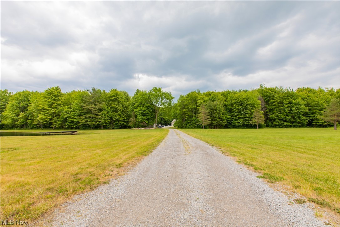 910 State Rte 534 Geneva, OH 44041 - Photo 20 of 35 Long winding driveway