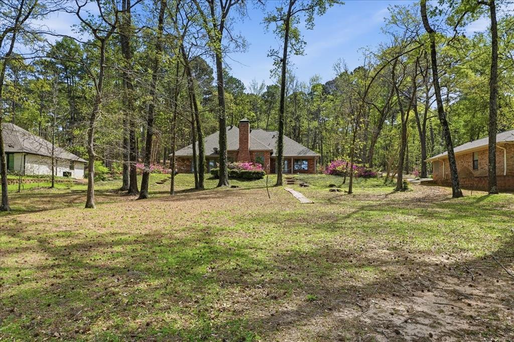15744 Timberhill Drive Flint, TX 75762 - Photo 34 of 35 a view of park with large trees