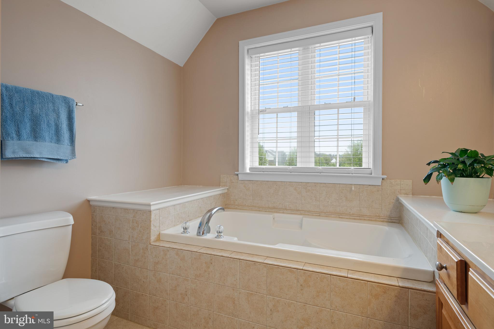319 Squire Lane Lititz, PA 17543 - Photo 29 of 51 Primary Bathroom