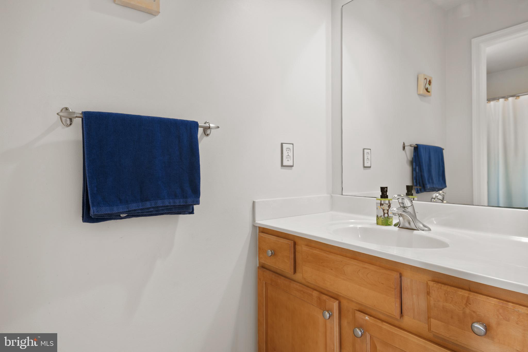 319 Squire Lane Lititz, PA 17543 - Photo 36 of 51 Hall Bath/Jack-N-Jill