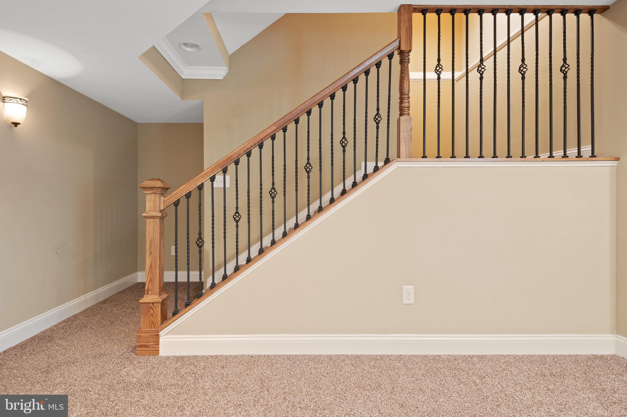 319 Squire Lane Lititz, PA 17543 - Photo 39 of 51 Finished Lower Level