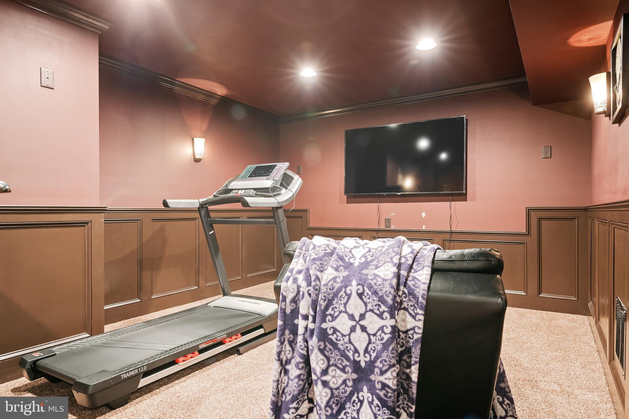 319 Squire Lane Lititz, PA 17543 - Photo 44 of 51 Theater Room