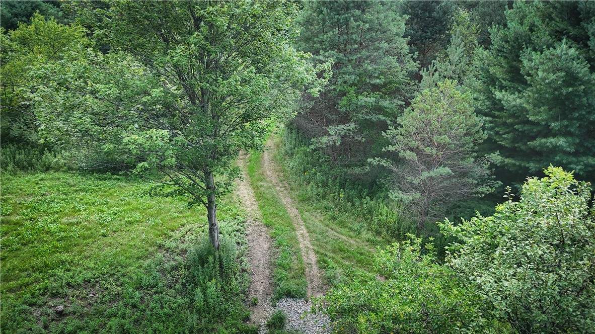 North Greenbush Road Erin, NY 14838 - Photo 5 of 46 Gallery Image 5