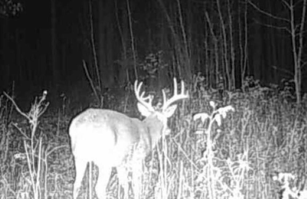 72281 Hennes Road Glidden, WI 54527 - Photo 33 of 50