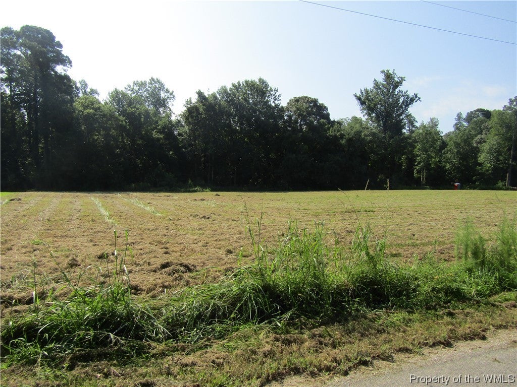 2212 Cobham Wharf Road Surry, VA 23883 - Photo 2 of 9 Gallery Image 2