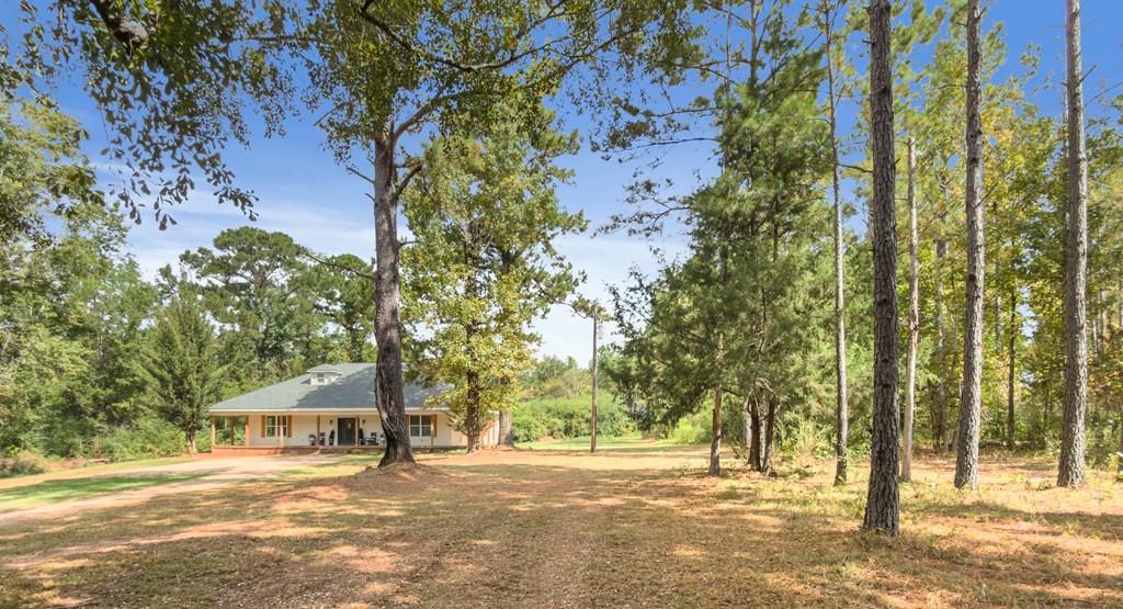 1289 Bruner Pond Road Ashford, AL 36312 - Photo 65 of 65
