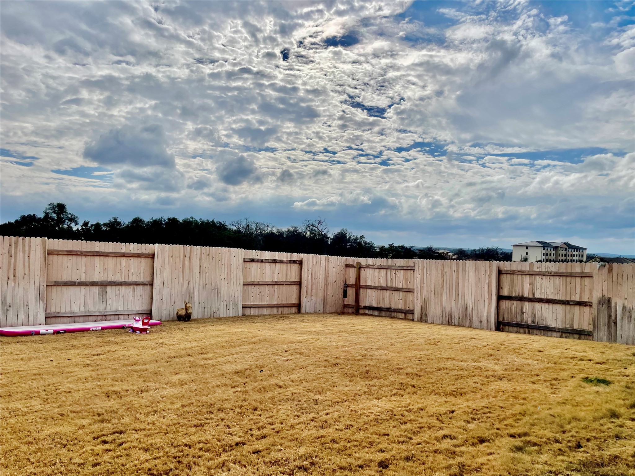 232 Denali Way Dripping Springs, TX 78620 - Photo 33 of 35 View of fenced yard