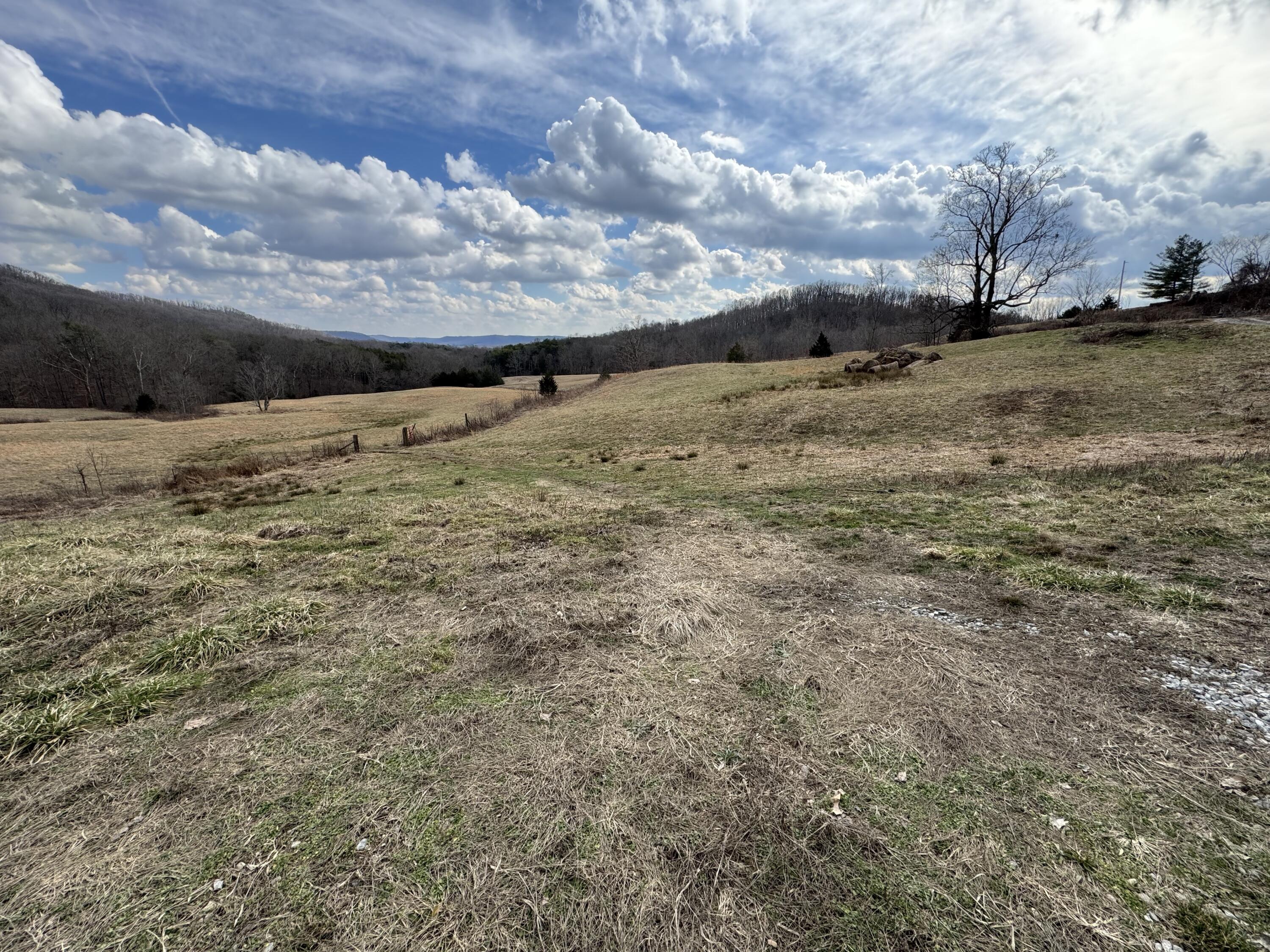 0 Ringos Mills Road Hillsboro, KY 41049 - Photo 5 of 19 2
