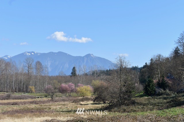 31813 Southeast Issaquah-Fall City Road Fall City, WA 98024 - Photo 3 of 40 Gallery Image 3