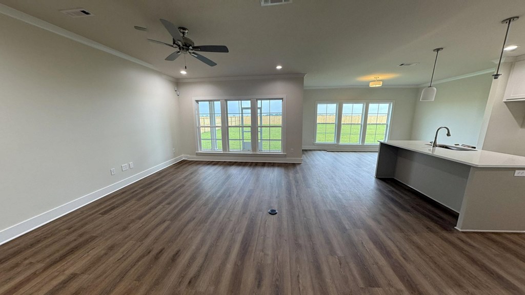 295 Adkinson Road Newton, AL 36352 - Photo 3 of 13