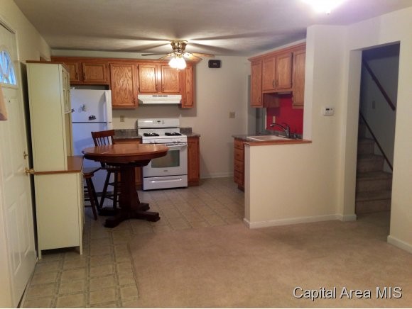 1712 North 19th Street Springfield, IL 62702 - Photo 6 of 17
