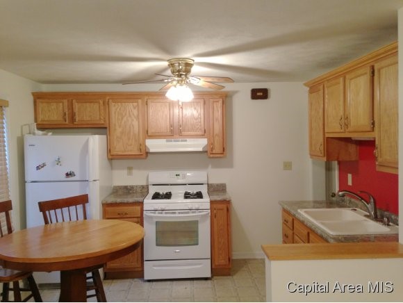 1712 North 19th Street Springfield, IL 62702 - Photo 7 of 17