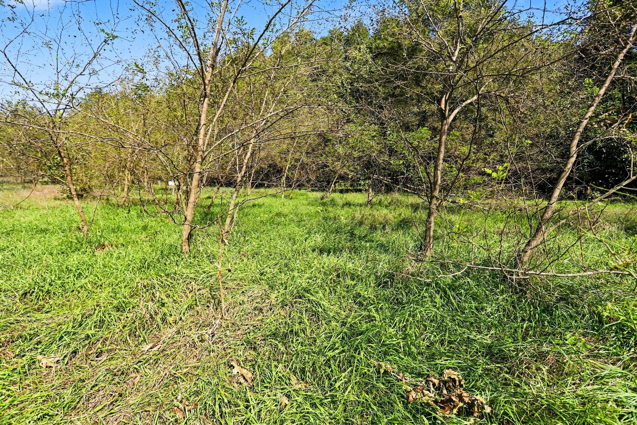 0 Hoshel Road Three Rivers, MI 49093 - Photo 5 of 19 5 _ Hoshel Road