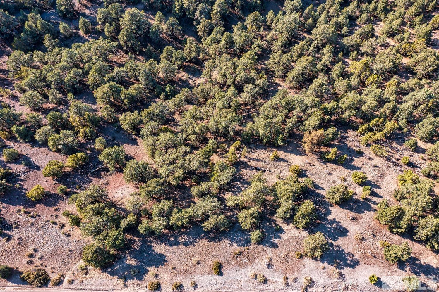 2020 Silverado Road Reno, NV 89521 - Photo 1 of 8 a view of a dry field