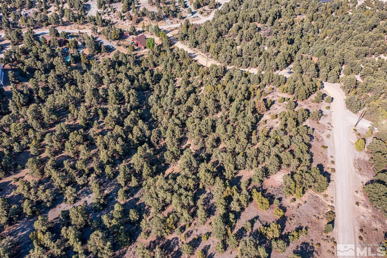 2020 Silverado Road Reno, NV 89521 - Photo 6 of 8