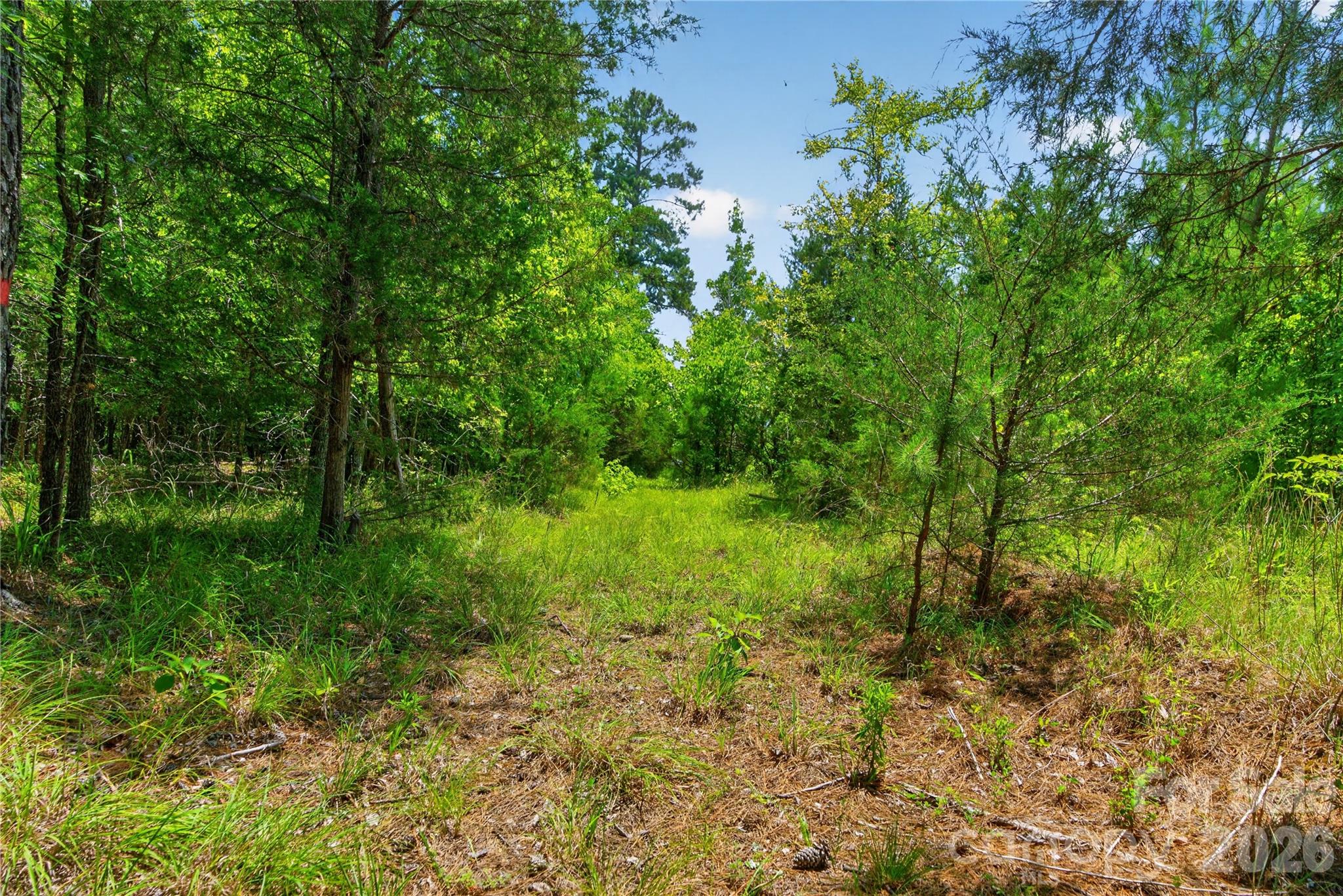 0 Blanton Road, Unit 2 Sharon, SC 29742 - Photo 32 of 43