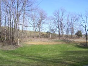 27144 Northridge Road Meadowview, VA 24361 - Photo 21 of 24 GARDEN AREA