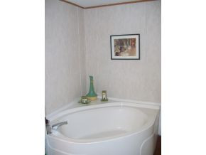 27144 Northridge Road Meadowview, VA 24361 - Photo 10 of 24 MASTER BATH TUB