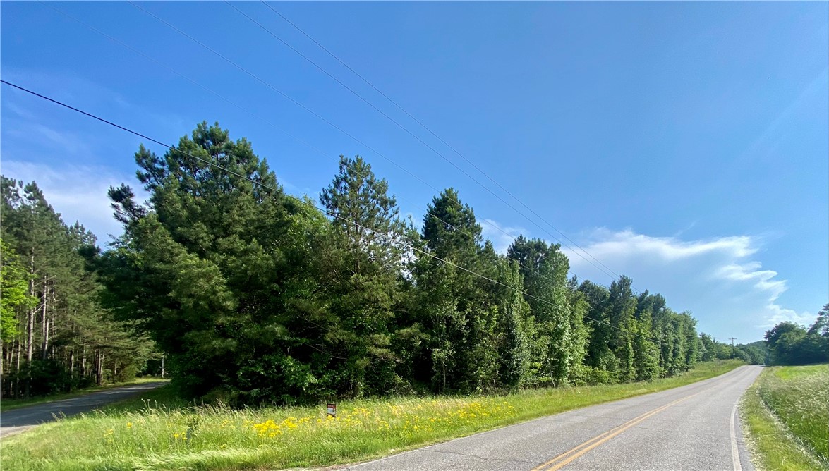 31 A Hattons Ford Road Townville, SC 29689 - Photo 2 of 3