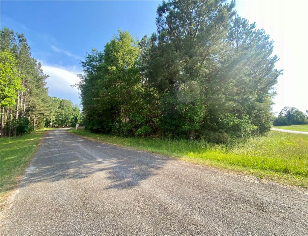 31 A Hattons Ford Road Townville, SC 29689 - Photo 3 of 3