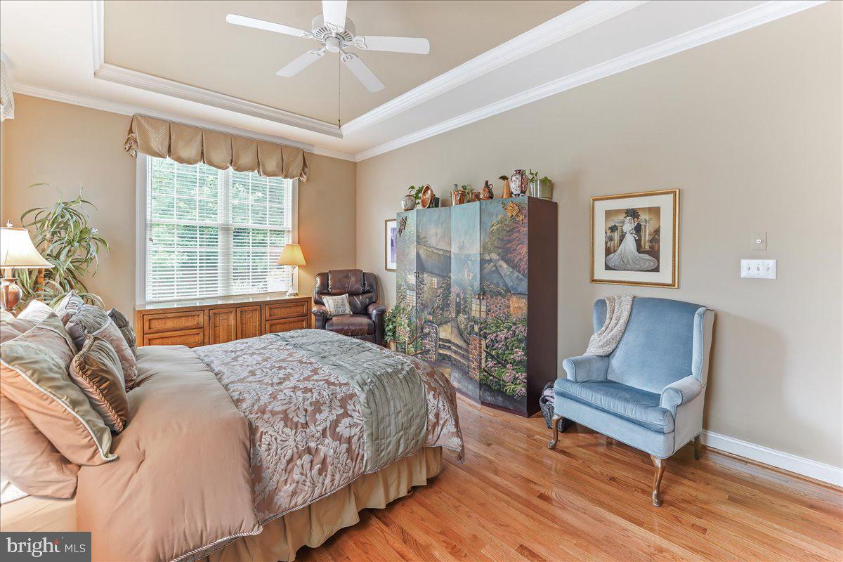 217 Hanover Road Phoenixville, PA 19460 - Photo 15 of 43 Tray Ceiling w/ fan
